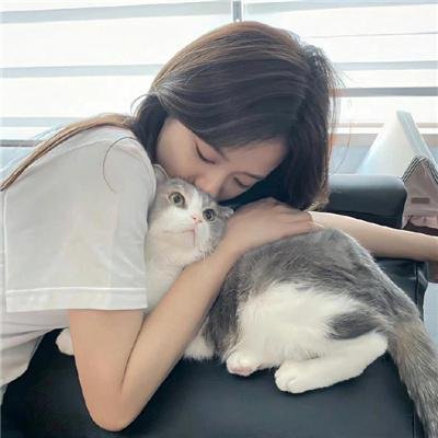 哈啰！毛小孩 海报